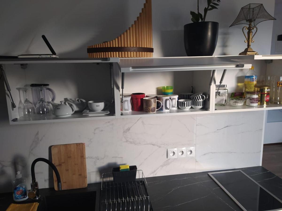 Apartament Muzyczny Еленя-Гура Экстерьер фото