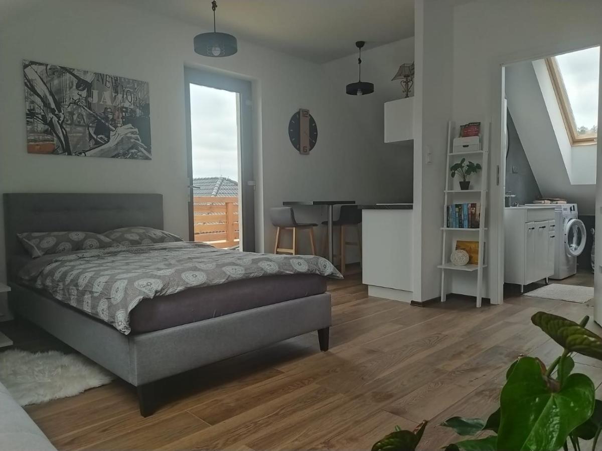 Apartament Muzyczny Еленя-Гура Экстерьер фото